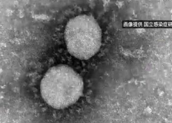 Từ các chuyên gia Nhật Bản: Delta – Biến thể đáng gờm gây nguy hiểm hơn vi rút truyền thống