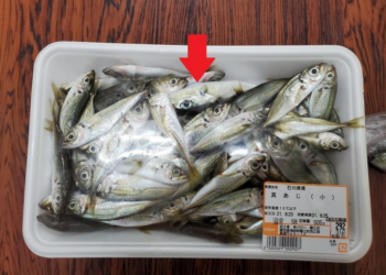 Một siêu thị thu hồi 1000 gói cá thu do có chứa lẫn cá nóc.