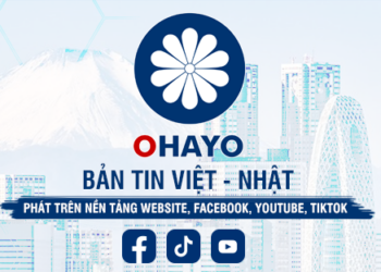 OHAYO hiện đã có mặt trên 4 nền tảng Website, Youtube, Tiktok, Facebook