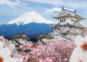 OHAYO - 在留期間更新更新許可申請