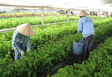truongtien.jp Ảnh minh họa
