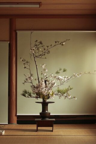 TRUONGTIEN.JP - Ikebana