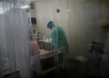 Nhật Bản phát hiện một chủng virus mới có thể lây sang con người