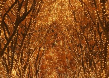 Top 9 địa điểm xem lễ hội ánh sáng mùa đông Nhật Bản – Winter Illumination