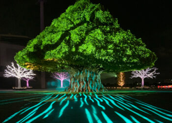 Khám phá Tokyo Mega Illumination: Công viên giải trí ngoài trời rực rỡ