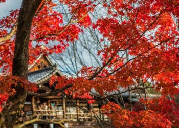 10 địa điểm ngắm lá đỏ ở Kyoto