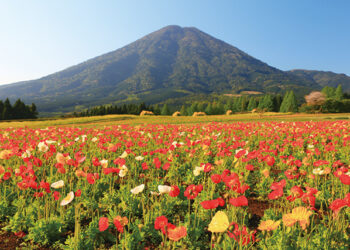 Cùng Ohayo khám phá vườn quốc gia Nhật Bản (p7) – Kyushu & Okinawa