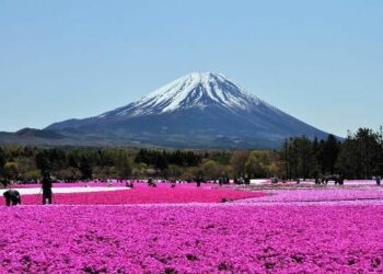 Cùng Ohayo khám phá Phú Sĩ – Ngũ hồ