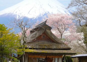 Cùng Ohayo khám phá Phú Sĩ – 5 địa điểm ngắm hoa anh đào quanh núi Phú Sĩ 2022