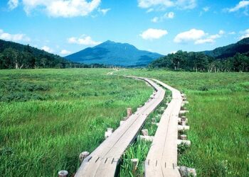 Cùng Ohayo khám phá các công viên quốc gia (p3) – Kanto