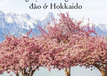 Những địa điểm ngắm hoa anh đào ở Hokkaido – 2022
