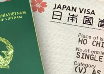 Tìm hiểu các khái niệm phụ thuộc: visa, thuế, bảo hiểm