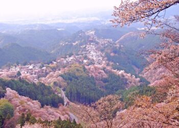 Cùng Ohayo khám phá công viên quốc gia Nhật Bản (p5) – Kansai