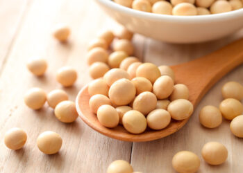 5 từ tiếng Anh thú vị có nguồn gốc từ tiếng Nhật