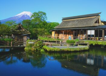 Cá Koi Nhật Bản: Lịch sử và ý nghĩa