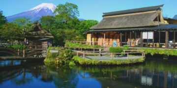 Cá Koi Nhật Bản: Lịch sử và ý nghĩa