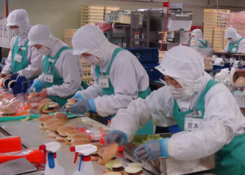 [A00517– 18/05/2023] 特定技能 TOKUTEI GINO THỰC PHẨM AICHI