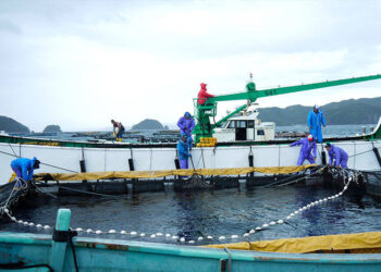 [SLT1547-25/04/2023] 特定技能 Nuôi trồng thủy sản EHIME