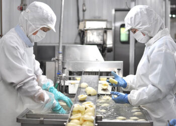 [GKD1504-04/04/2023]特定技能 Chế biến thực phẩm KAGAWA