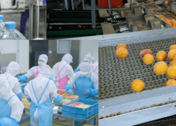 [WL1571 – 12/05/2023] – TOKUTEIGINO CHẾ BIẾN THỰC PHẨM – CHIBA