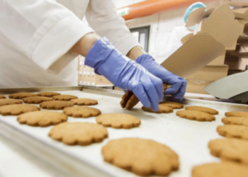 [WL1599 – 19/06/2023] – TOKUTEIGINO CHẾ BIẾN THỰC PHẨM – IBARAKI