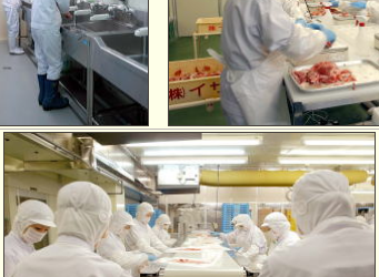 [WL1642 – 18/07/2023] – TOKUTEIGINO CHẾ BIẾN THỰC PHẨM – IBARAKI