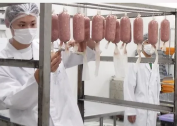 [KD1035 – 09/06/2022] – TOKUTEIGINO CHẾ BIẾN THỰC PHẨM – TOKYO